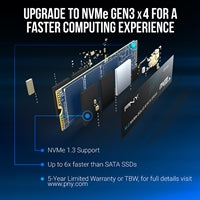 PNY CS1030 (M280CS1030-250-RB) 250GB SSD, PCIe Gen3 x4 Interface,Max Read 2500MB/s, MaxWrite 1100MB/s, 5 Year Limited Warranty