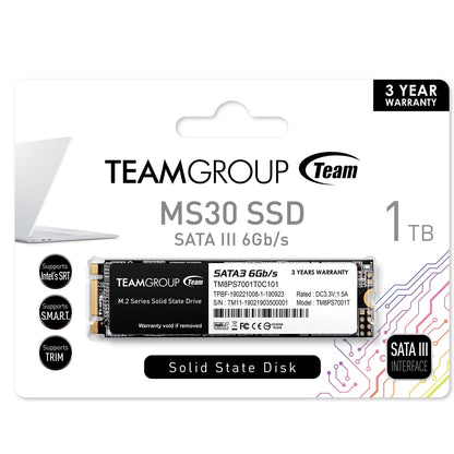 Team MS30 (TM8PS7001T0C101) 1TB, interfaz M.2 Sata, PCIe Gen3, lectura 530 MB/s, escritura 480 MB/s, 3 años de garantía